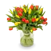 Kytice tulipánů